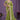 Green Color Glorious Satin Silk Party Style Two Tone Saree