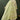 Excellent Cotton Fabric Green Color Readymade Salwar Suit In Festive Wear