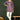 Purple Viscose Blend Readymade Embroidered Short Simple Top