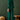 Exclusive Green Chinon Floral Embroidered Top With Bottom