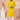 Georgette Yellow Color Wedding Wear Sequins Embroidery Readymade Designer Men Kurta Pyjama