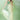 Malaika Arora Inspired Georgette Fabric Sequins Work Sea Green Wedding Wear Saree With Designer Blouse