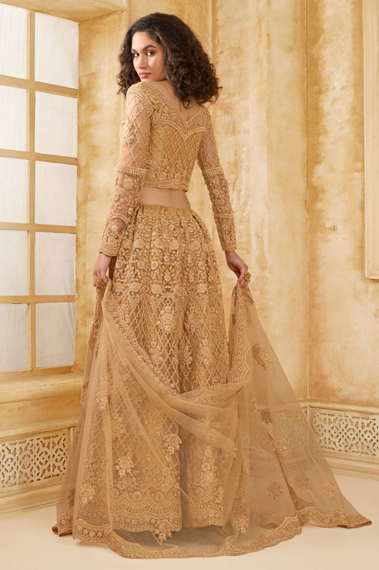 Charm Brown Designer Lehenga Choli