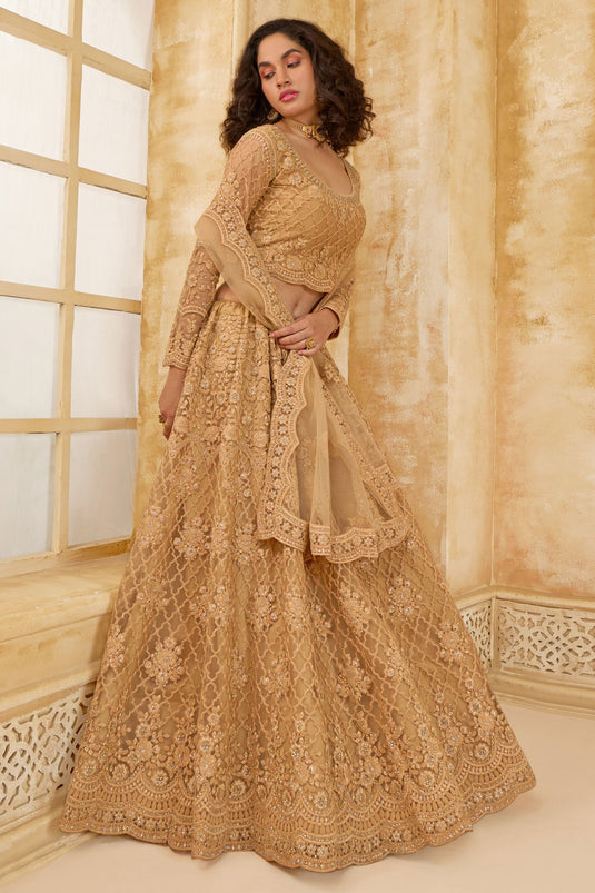 Charm Brown Designer Lehenga Choli