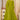 Radiant Green Color Georgette Fabric Sequins Embroidered Anarkali Suit
