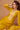 Yellow Color  Attractive Long Gown With Dupatta In Silk Fabric