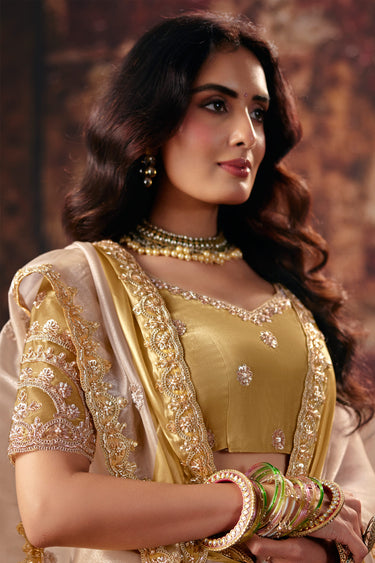 Satin Lace Border Work Beige Designer Saree