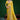 Tissue Silk Zari Weaving Yellow Saree