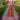 Graceful Multi Color Printed Festive Wear Lehenga Choli