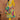 Yellow Color Chinon Fabric Festive Wear Classic Salwar Suit