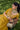 Heavy Embroidered Tissue Lehenga Choli In Yellow Color