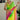 Georgette Fabric Green Color Riveting Tow Tone Saree