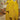 Classic Cotton Readymade Top Bottom Dupatta Set in Yellow Color