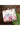 Tempting Art Silk Multi Color Printed Clutch