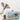 Engaging Sky Blue Color Embroidered Art Silk Clutch