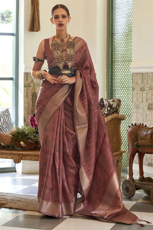 Kalki Koechlin Organza Fabric Chikoo Color Glamorous Saree