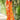 Chiffon Fabric Casual Wear Orange Color Printed Saree