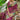 Art Silk Fabric Wine Color Ingenious Weaving Work Saree