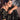 Glamorous Black Color Digital Printed Satin Fabric Saree