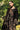 Exclusive Muslin Silk Embroidered Black Pakistani Suit