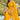 Sober Georgette Fabric Embroidered Yellow Color Patiala Suit