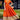 Cotton Orange Color Magnificent Readymade Kurti