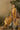 Banarasi Fabric Adorming Party Style Salwar Suit In Mustard Color