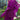 Appealing Purple Color Georgette Fabric Festive Wear Embroidered Readymade Palazzo Suit