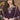 Radiant Purple Color Georgette Fabric Sangeet Wear Palazzo Suit
